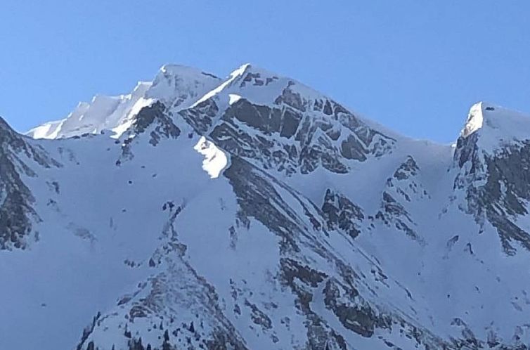 Appartement Berg-Ferienwohnung  im Chalet  Zirbeli