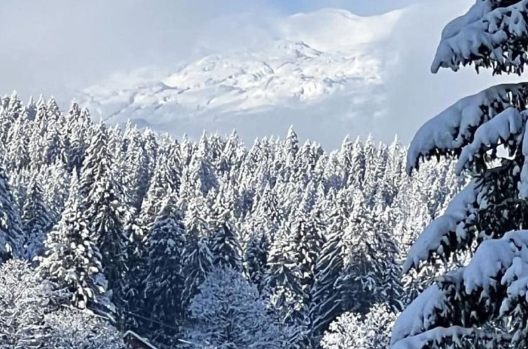 Appartement Berg-Ferienwohnung  im Chalet  Zirbeli