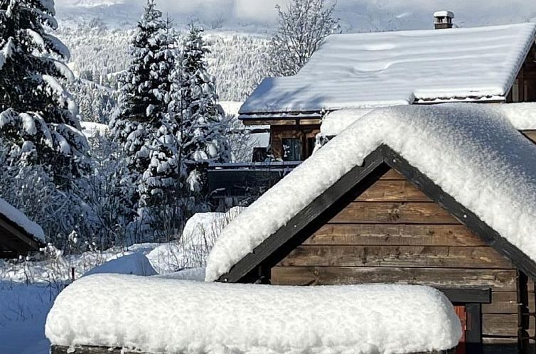 Appartement Berg-Ferienwohnung  im Chalet  Zirbeli