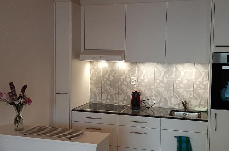 Appartement Rothorn-Center A (1.OG- Schöpfer)