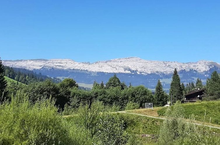 Appartement Rothorn-Center A (1.OG- Schöpfer)