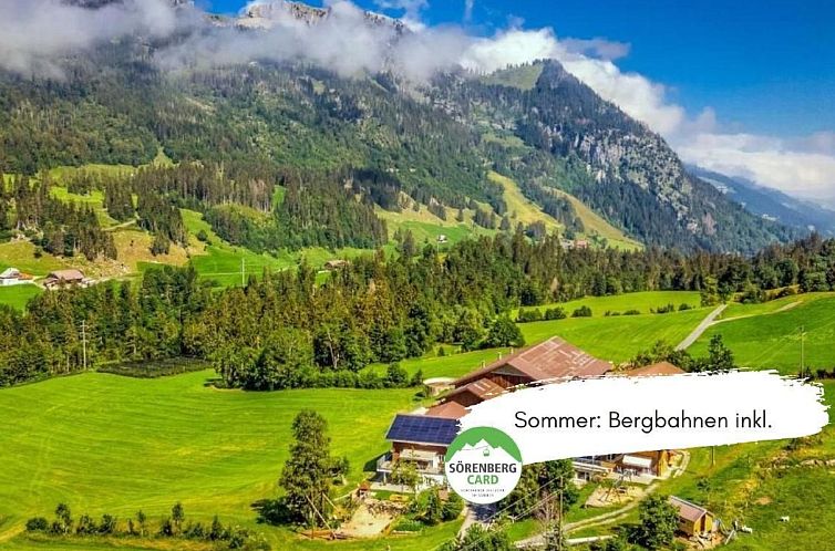 Appartement Haglere, Birkenhof (6-Bett)