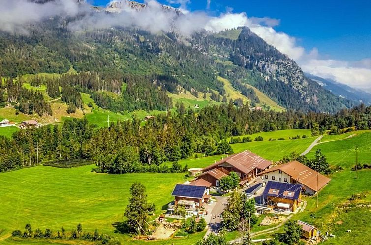 Appartement Haglere, Birkenhof (6-Bett)