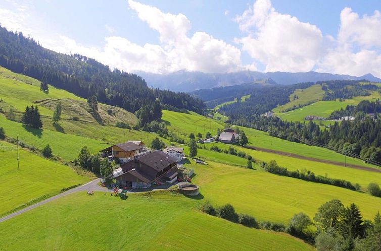 Appartement Schrattewohnung Birkenhof (4-Bett)