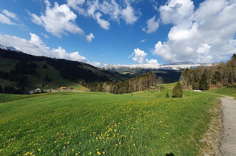 Appartement Kolibri Hochparterre