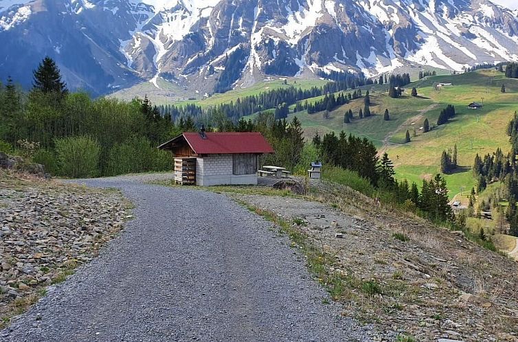 Appartement Kolibri Hochparterre