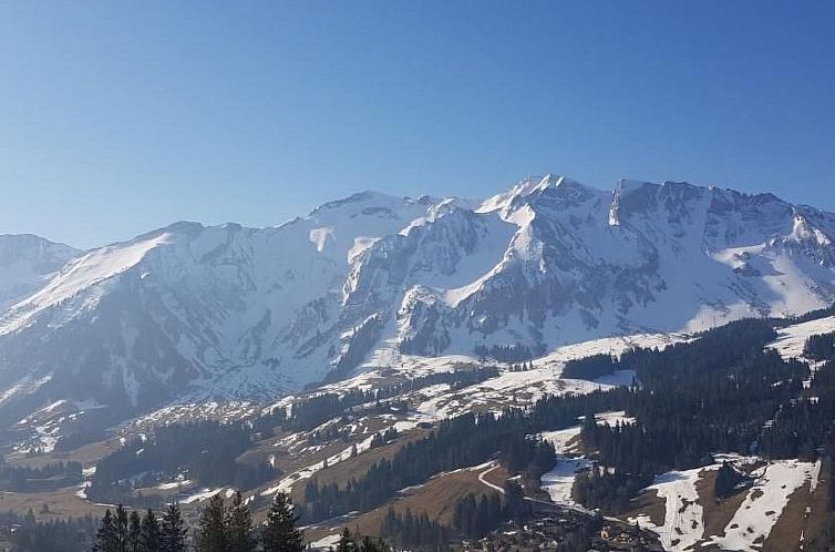 Appartement Kolibri Hochparterre