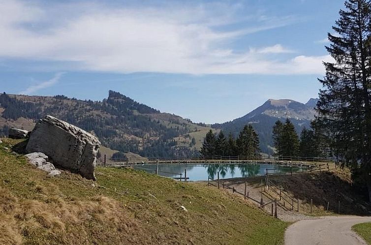 Appartement Kolibri Hochparterre