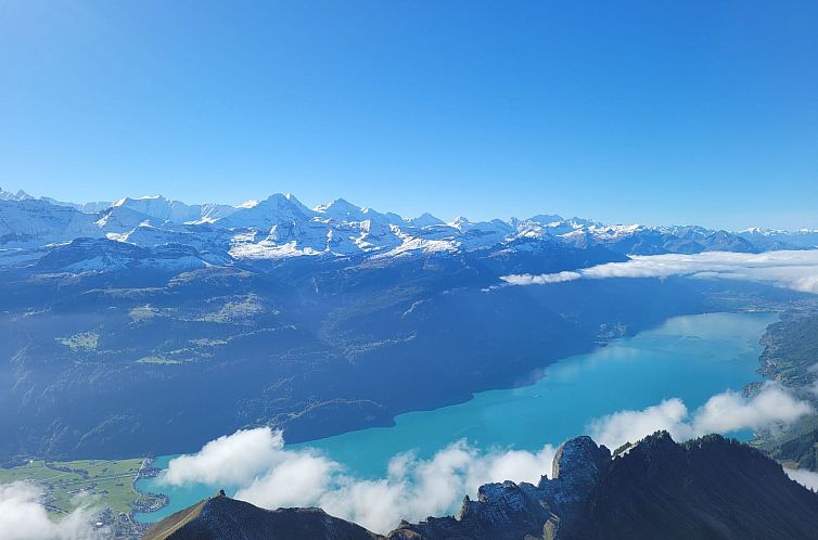 Appartement Kolibri Parterre