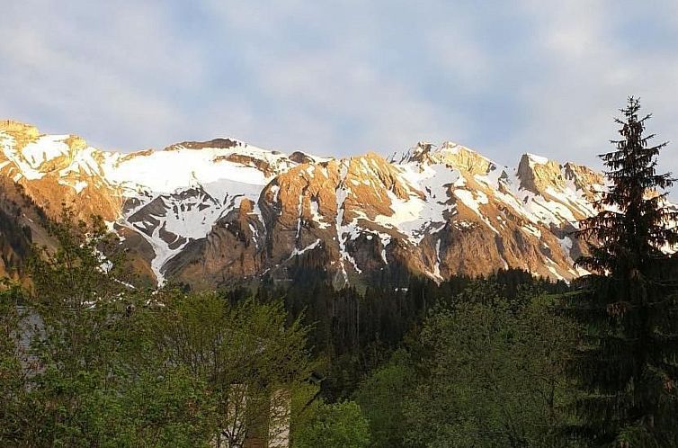 Appartement Flüehütte (C7)