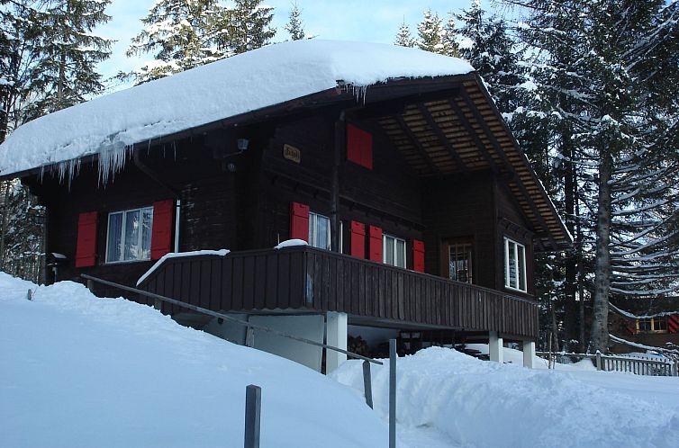 Vakantiehuis Chalet Föhrli