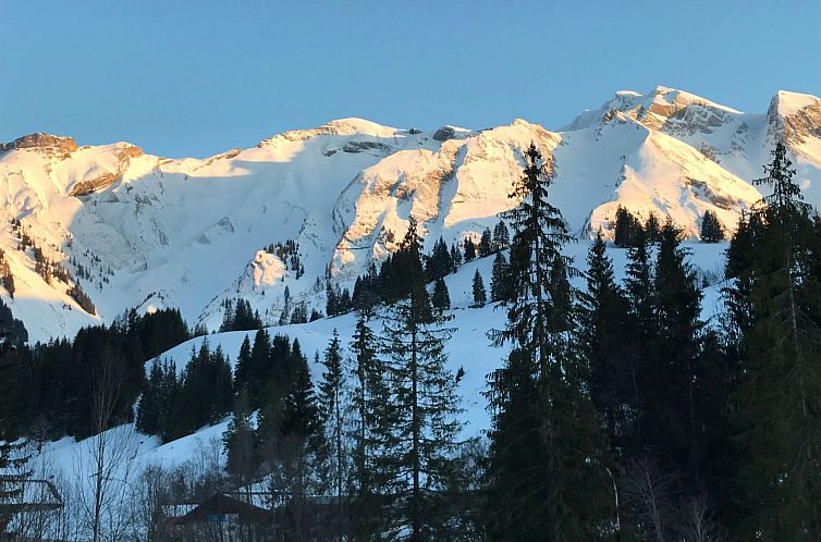Vakantiehuis Chalet Föhrli