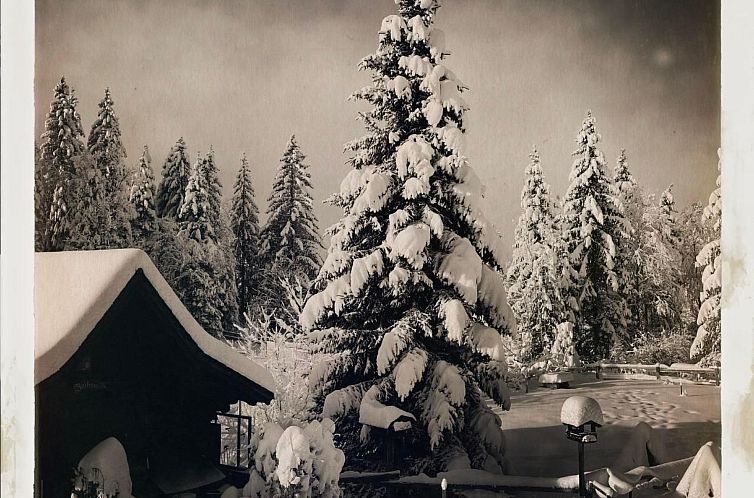 Appartement Chalet Rosita