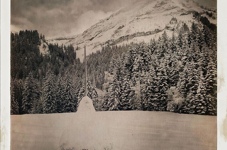 Appartement Chalet Rosita