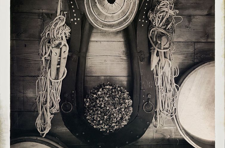 Appartement Chalet Rosita