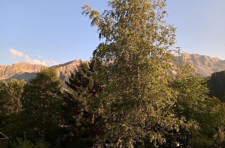 Appartement Hasegässli 12