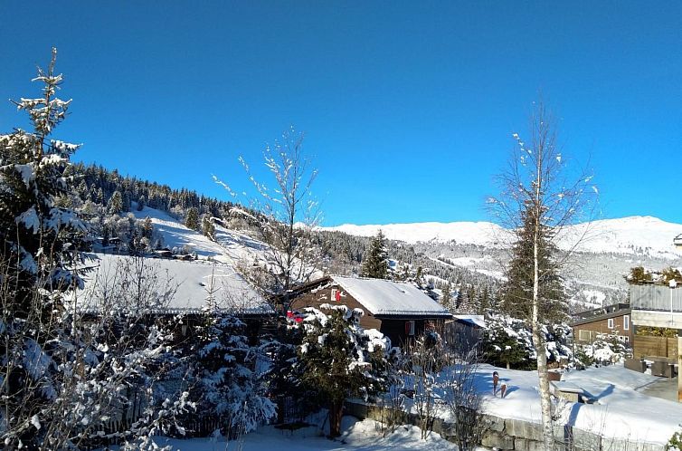 Appartement Hasegässli 12