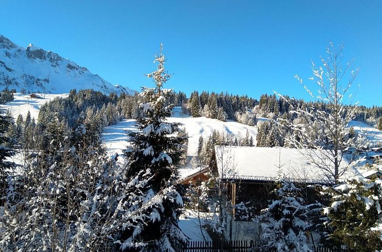 Appartement Hasegässli 12