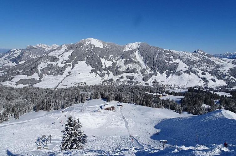 Appartement Semiramis