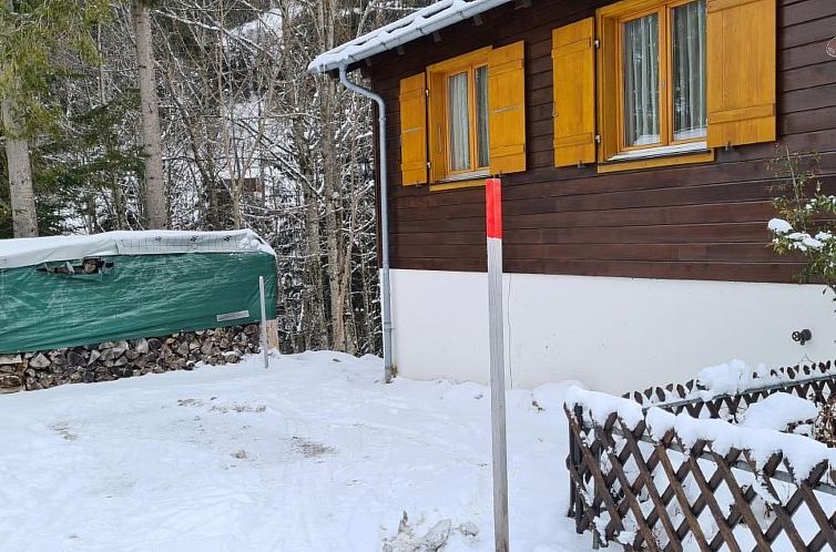 Vakantiehuis Chalet Bem Brüggli