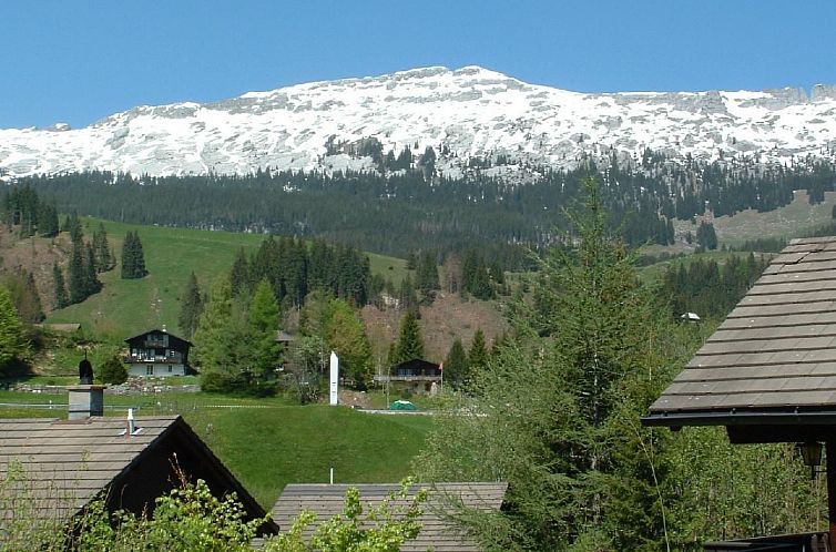 Vakantiehuis Chalet Bem Brüggli