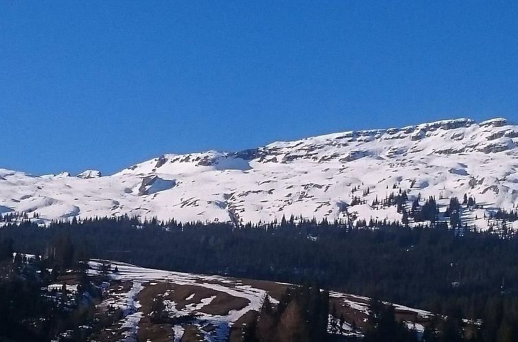 Vakantiehuis Chalet Bem Brüggli
