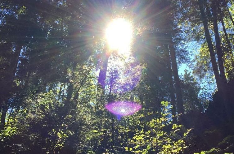 Appartement Gina's Apartment - Nähe zu See und Berge