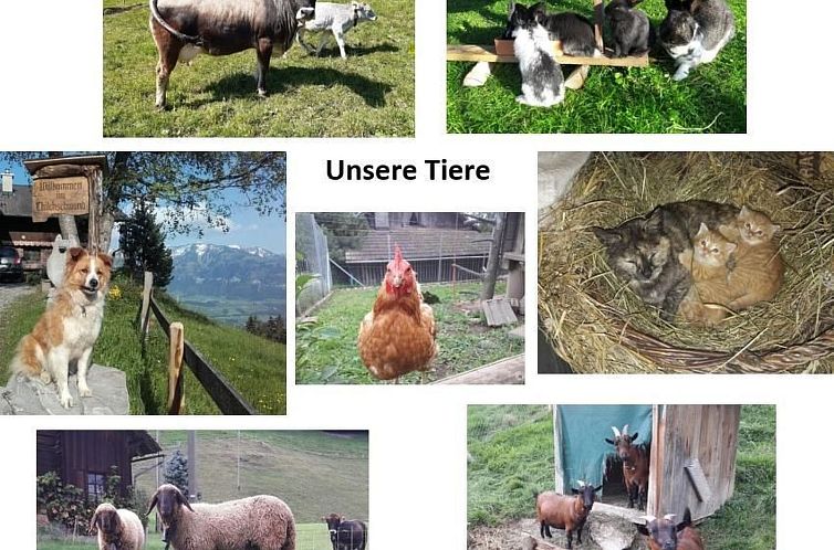 Vakantiehuis Alphütte Chilchschwand