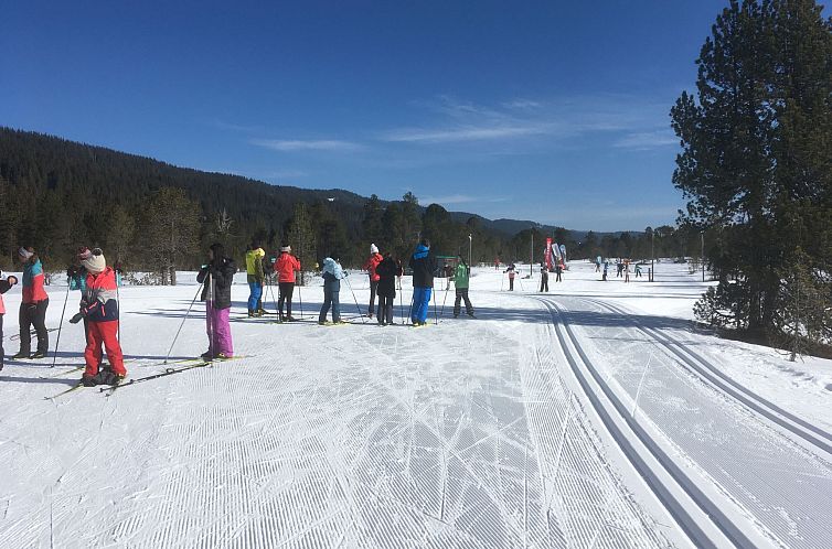 Appartement Sunny retreat