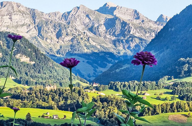 Appartement Sonnentraum