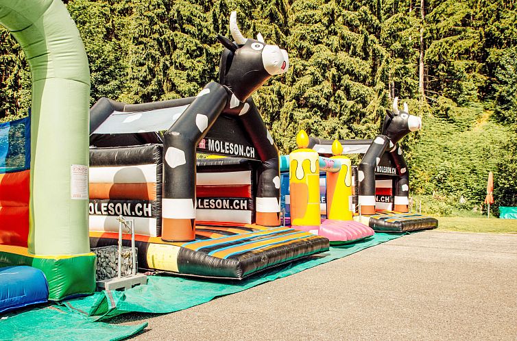 Vakantiehuis Chalet 969