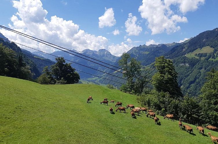 Appartement Oase im Engelbergertal zwischen Luzern & Engelbe