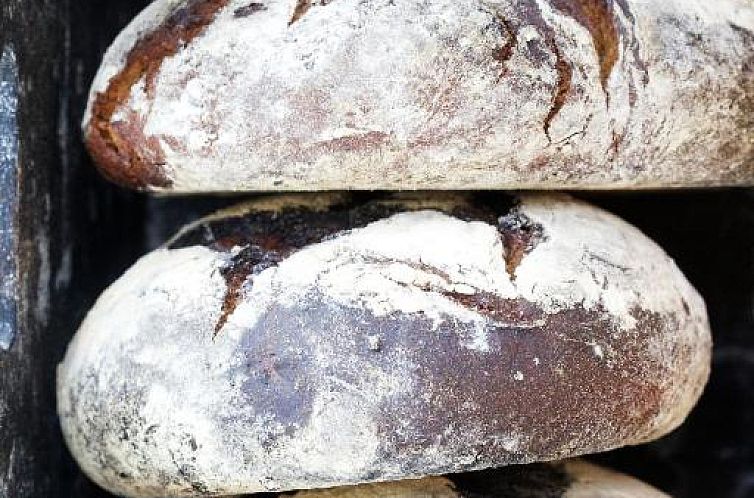 Clarion Collection Hotel Plaza