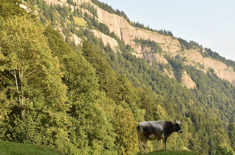 Appartement Mountain Nature Stay