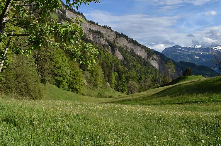 Appartement Mountain Nature Stay