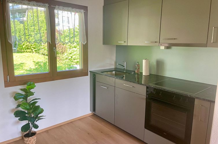 Appartement Chalet Bärgblick