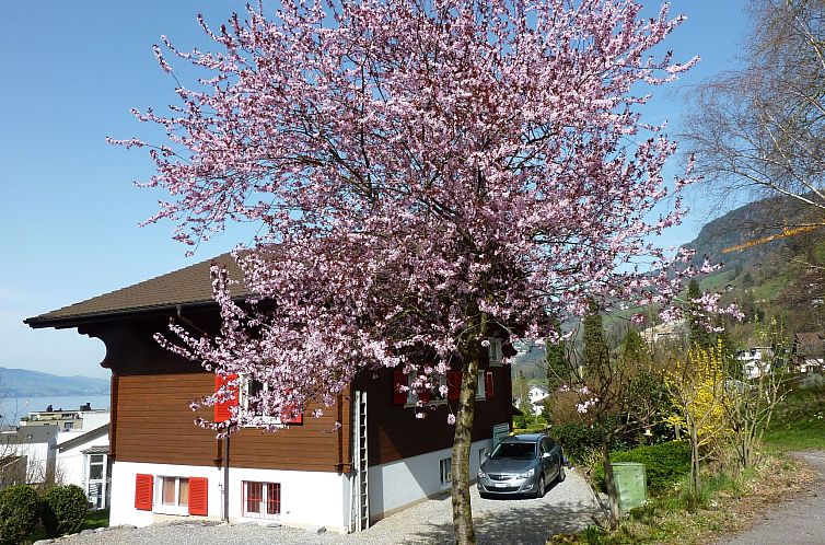 Appartement Chalet Bärgblick