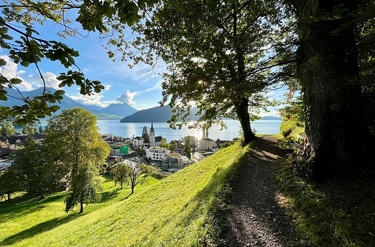 Appartement Chalet Bärgblick
