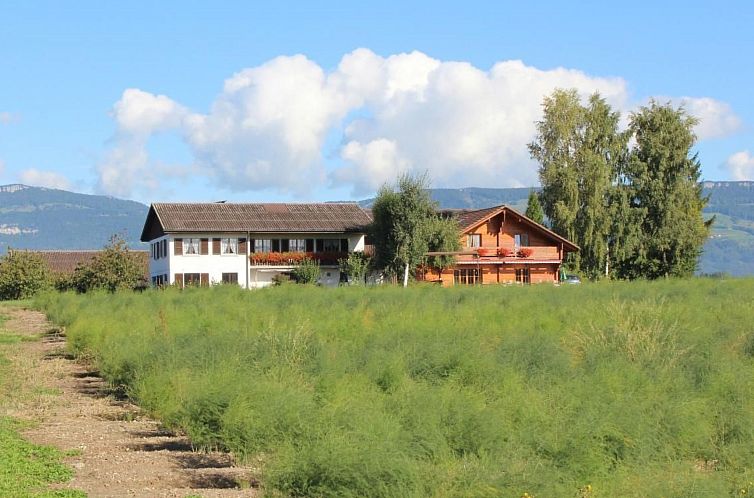 Unterkunft 1818301 - Appartement Zentral Schweiz - Appartement Weierhof