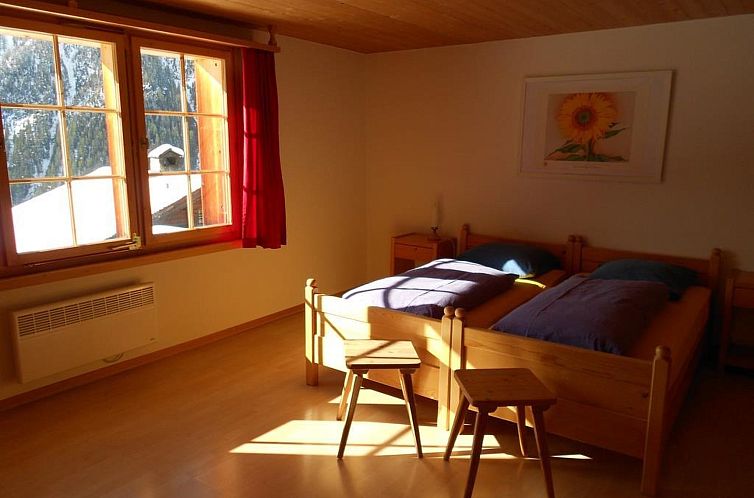 Appartement Haus Gysin EG Appartement/Fewo, Dusche oder Bad,