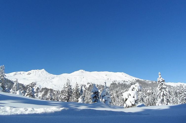 Vakantiehuis Chalet Atelier