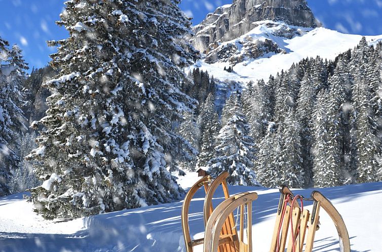 Vakantiehuis Haus Basilisk / Obere Wohnung für 5 Personen