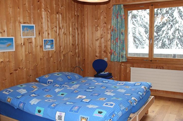 Appartement Haus Basilisk