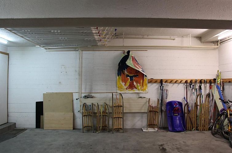 Appartement Haus Basilisk