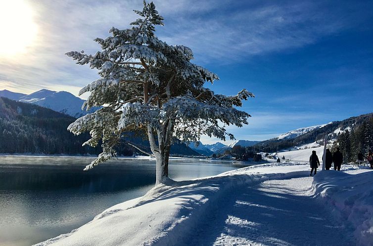 Vakantiehuis The Holiday Home Davos