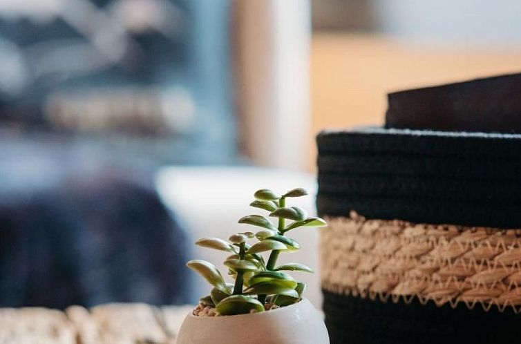 Appartement Albertistrasse Apt. 9