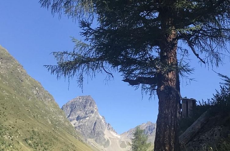 Appartement Urlaubstage in Davos