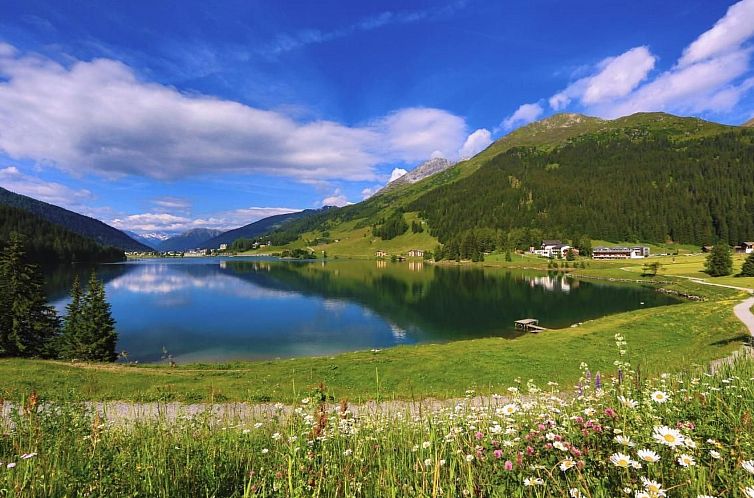 Appartement Parkareal Davos