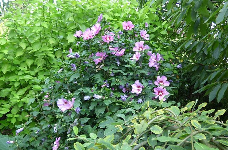 B&B Le Jardin d'Epicure