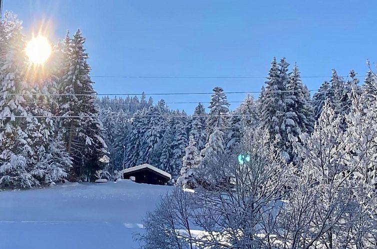 Appartement Haus am Bach